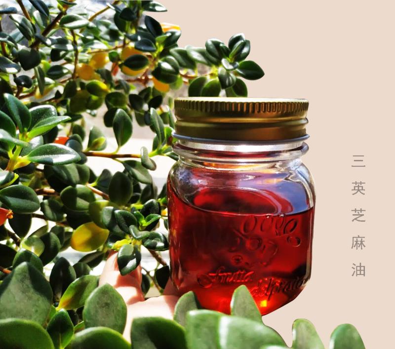 純正芝麻香油 沈陽廠家低價(jià)現(xiàn)貨芝麻油